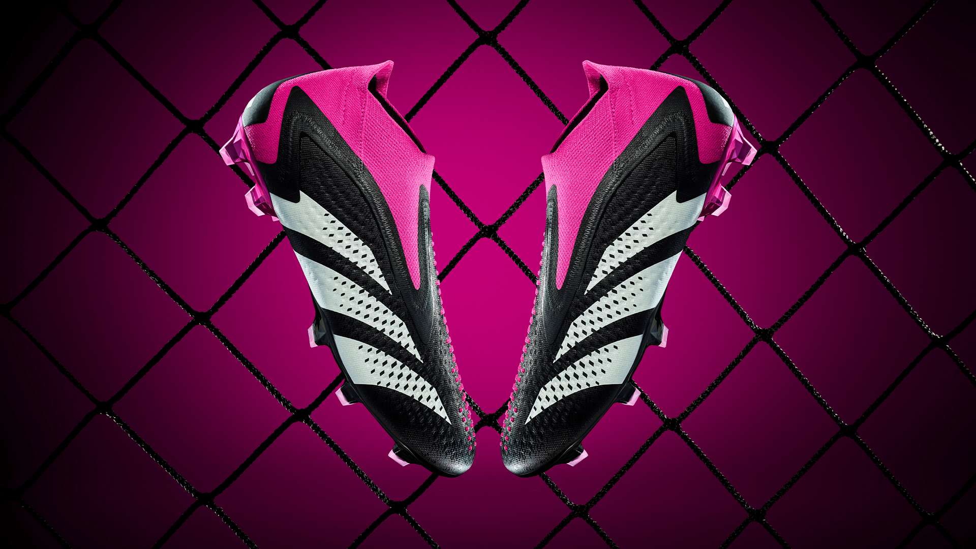 为新投资者 为新投资者