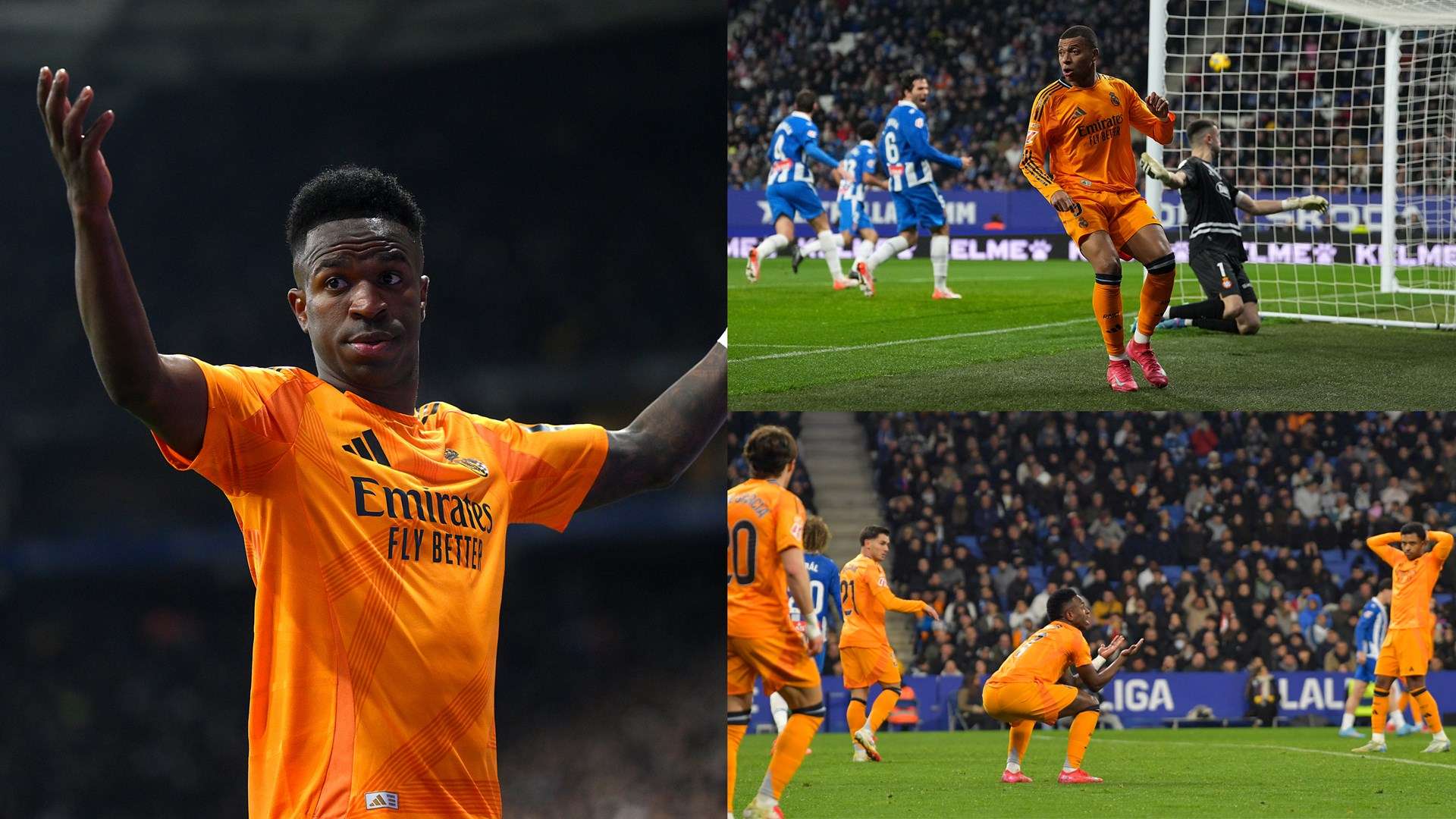 对他致敬的 对他致敬的