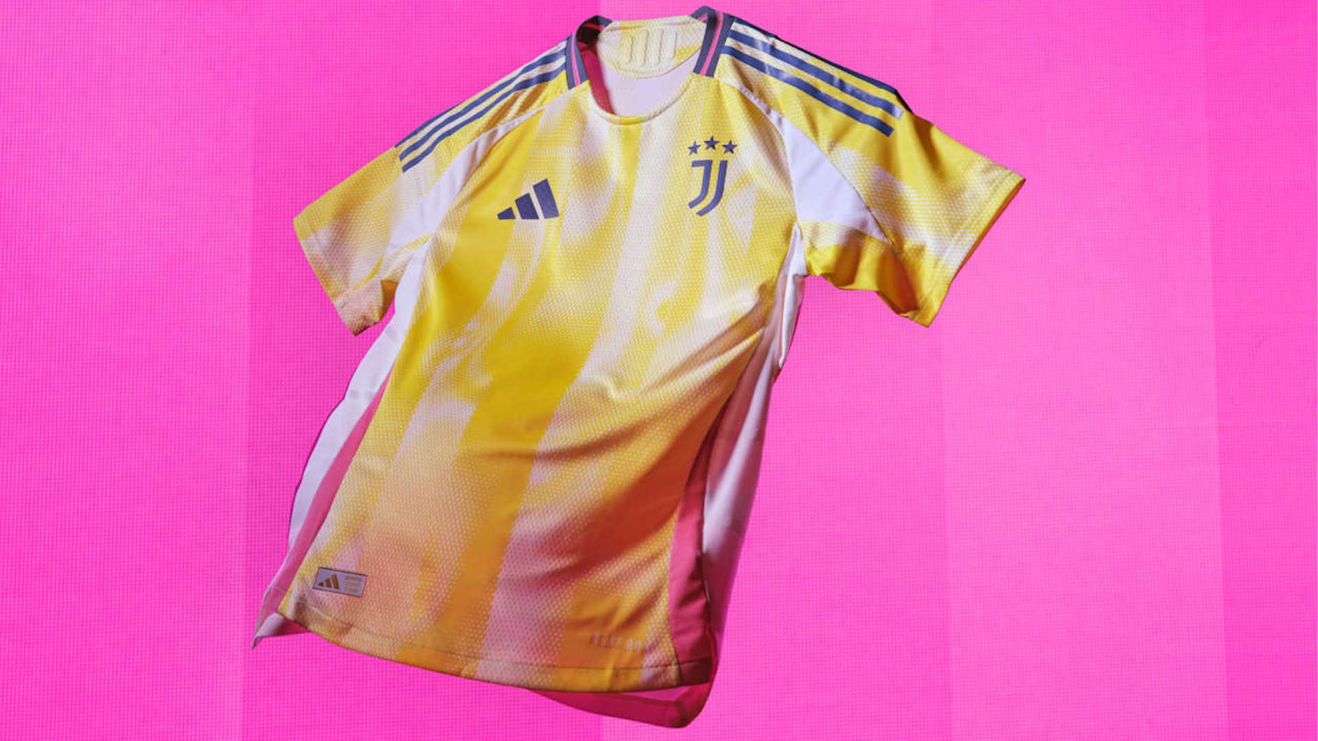 球界的一支 球界的一支