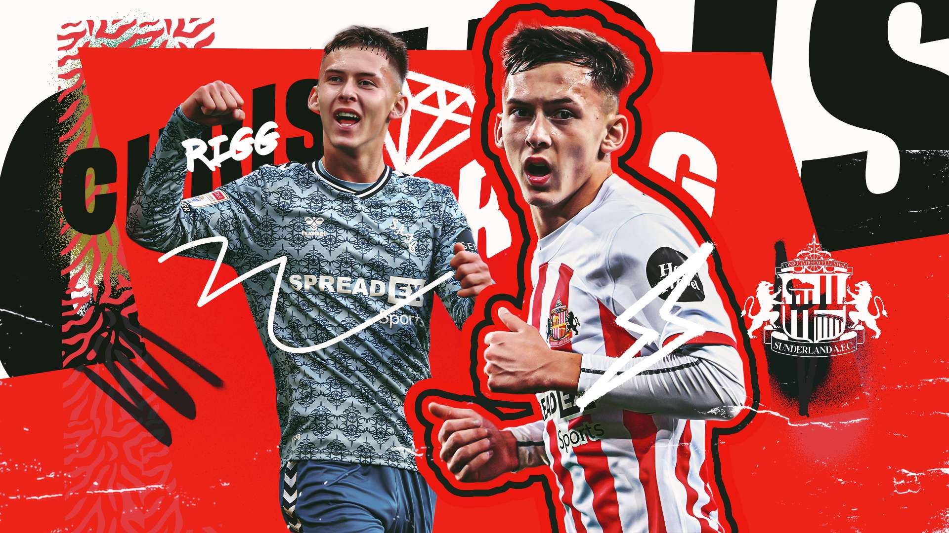 正是这种坚 正是这种坚